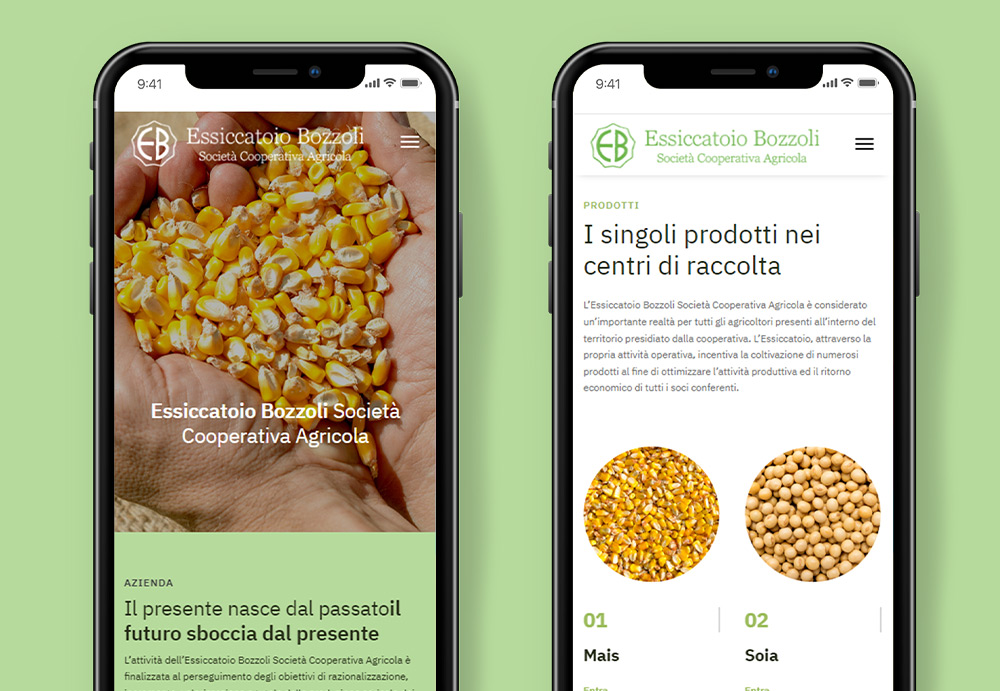 sito-webMOBILE-EssicatoriBozzoli